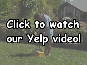 Click to watch our Yelp video!
